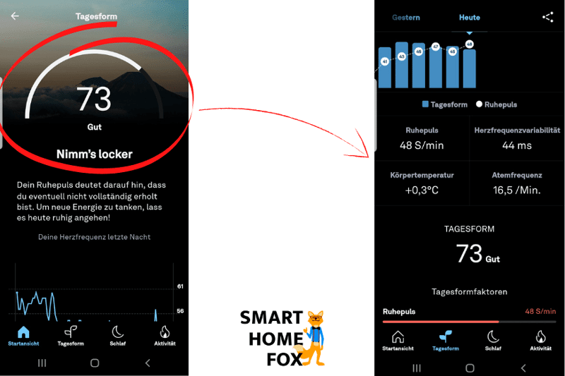 Man sieht den Readiness-Score in der Oura App.